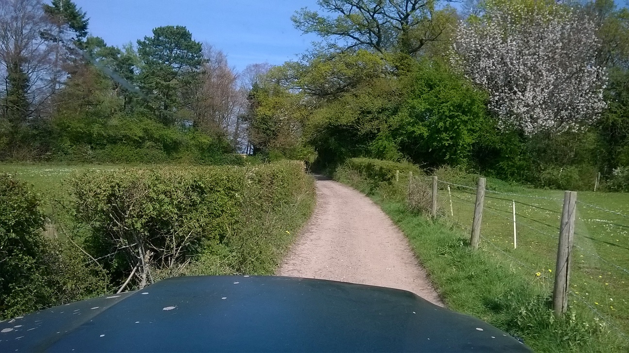 WP_20150420_010.jpg