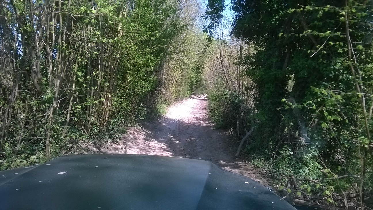 WP_20150420_011.jpg