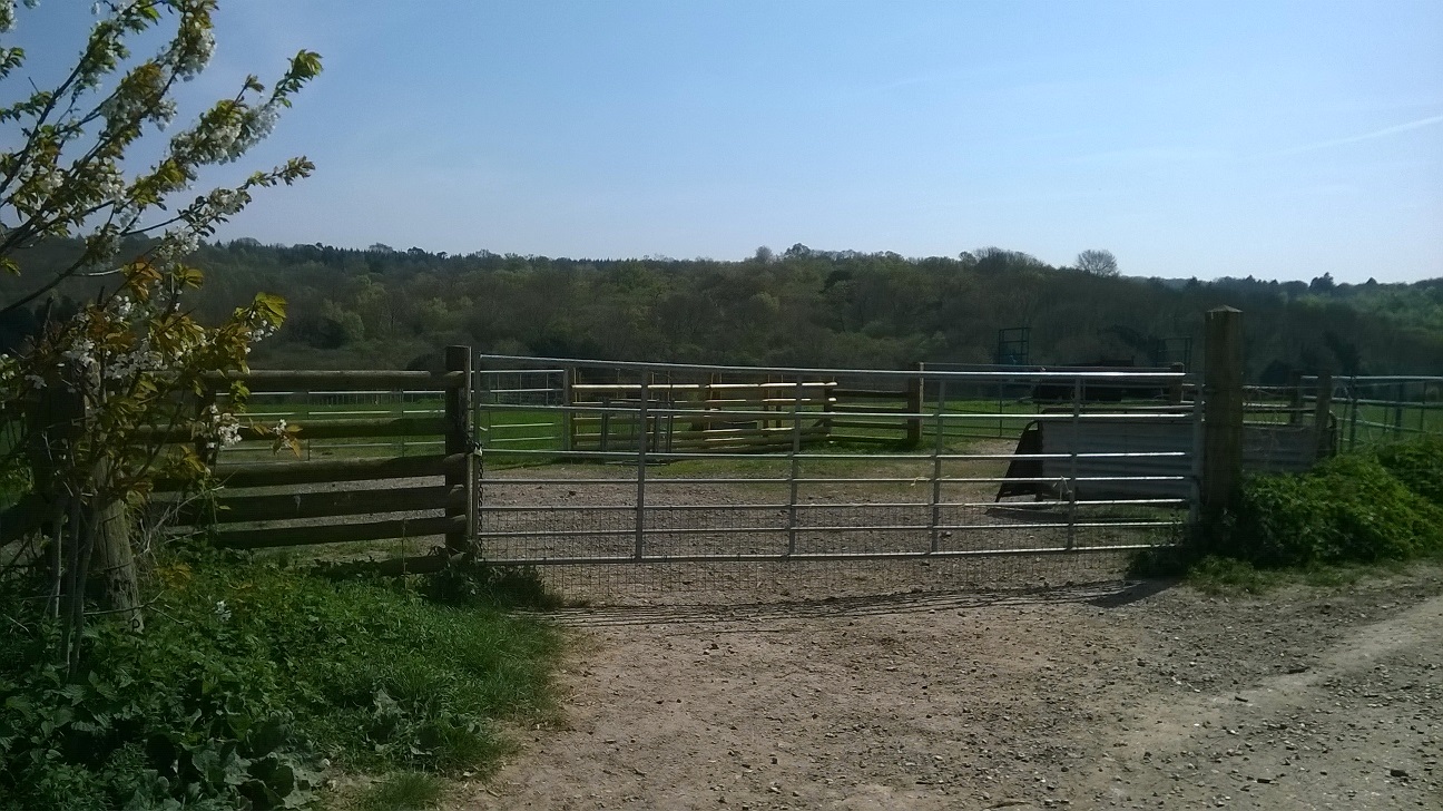WP_20150420_012.jpg
