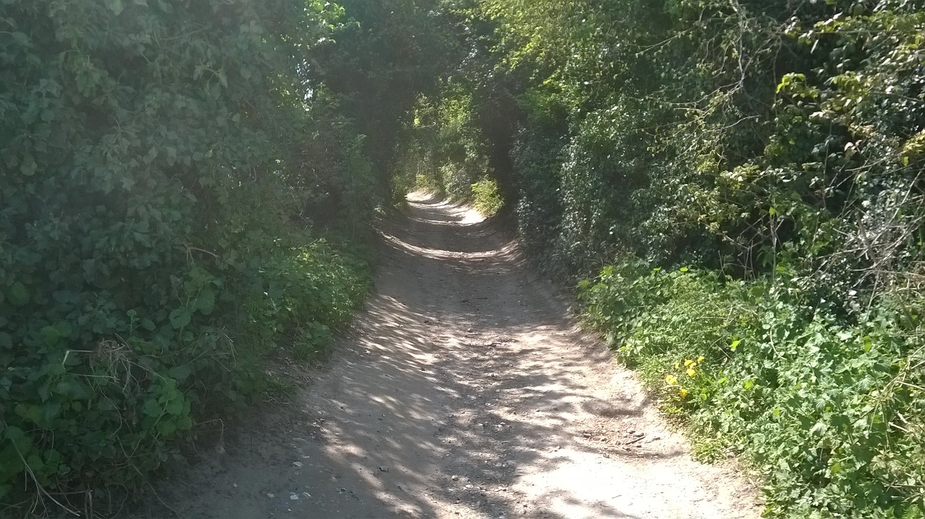 WP_20150420_016.jpg