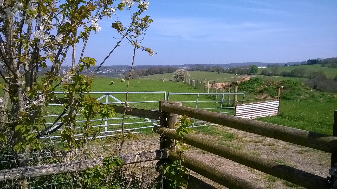 WP_20150420_019.jpg