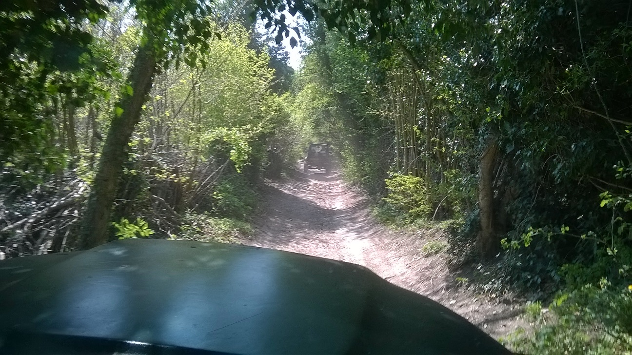 WP_20150420_022.jpg
