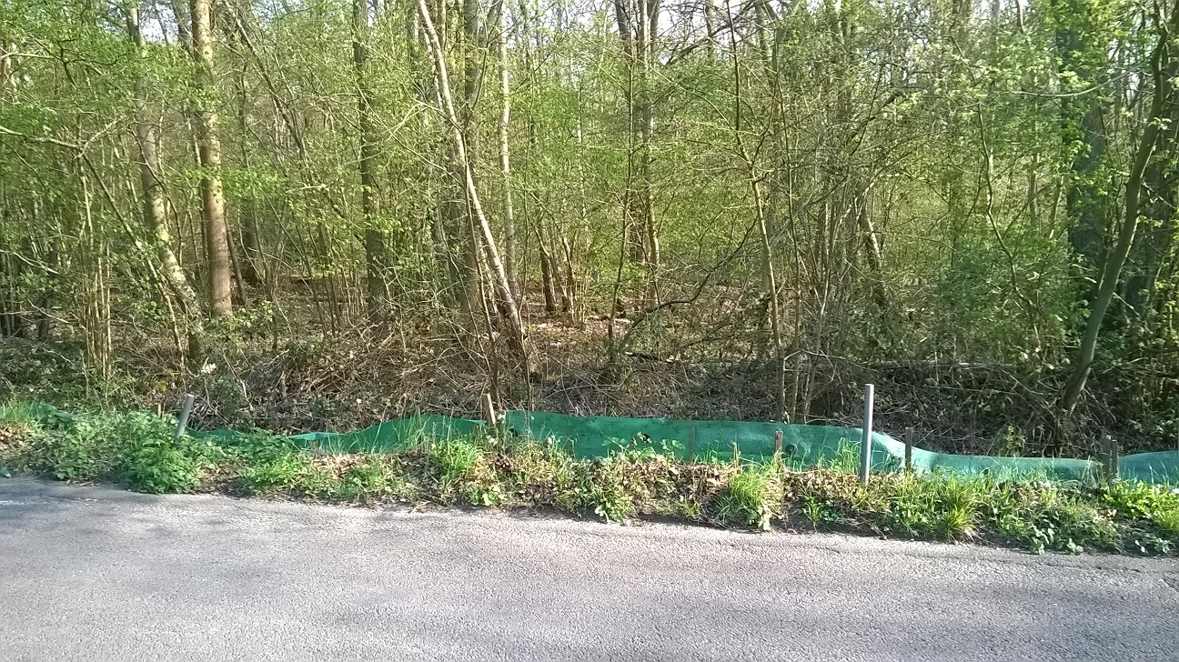 WP_20150420_033.jpg