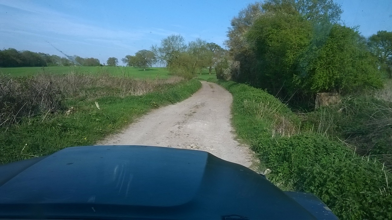 WP_20150420_035.jpg