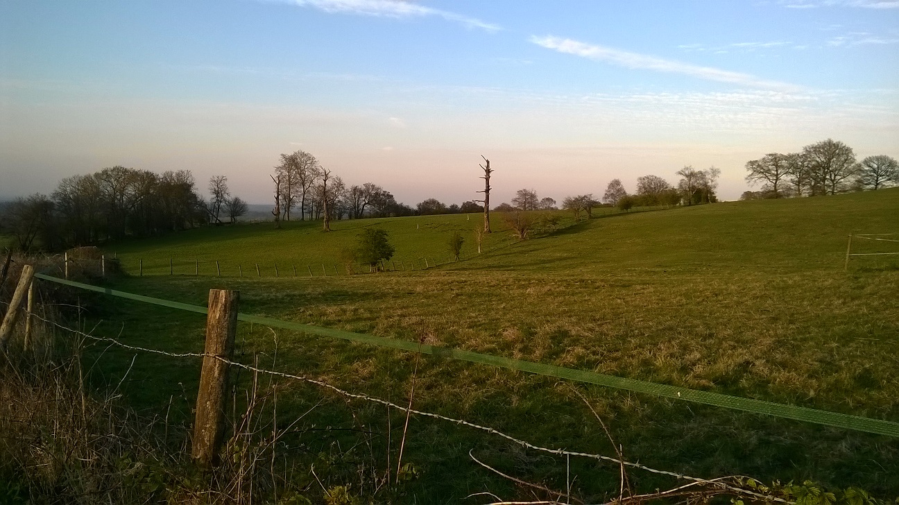 WP_20150420_046.jpg