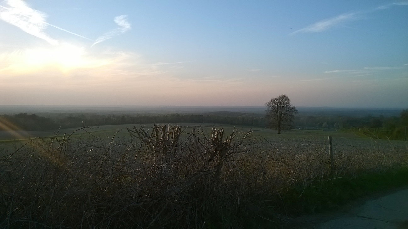 WP_20150420_047.jpg