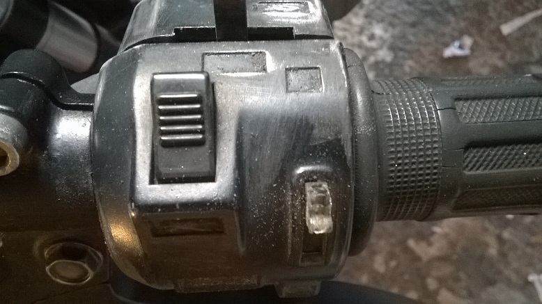 WP_20160107_001.jpg