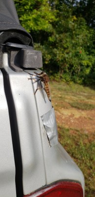20180928_164717.jpg