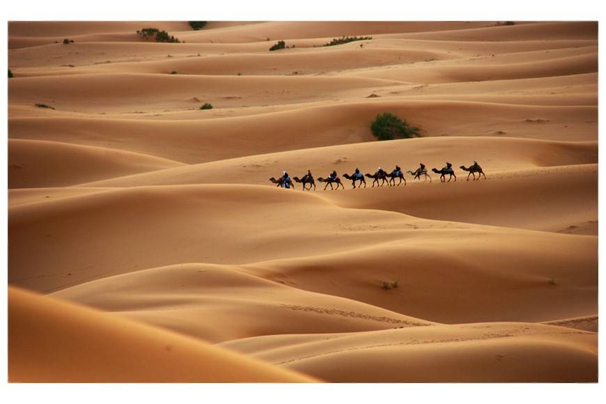 westsaharaer1.jpg