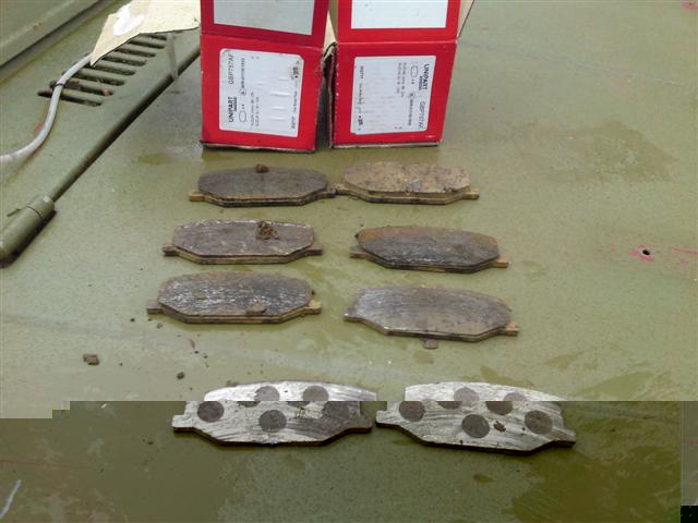 P20-03-10_13.44 (Small).JPG